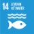 SDG 14: Vitale water ecosystemen